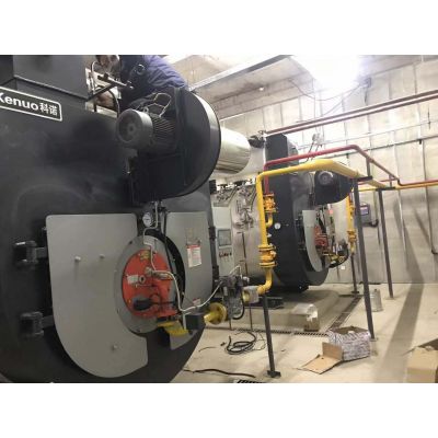 北京朗依制藥集團